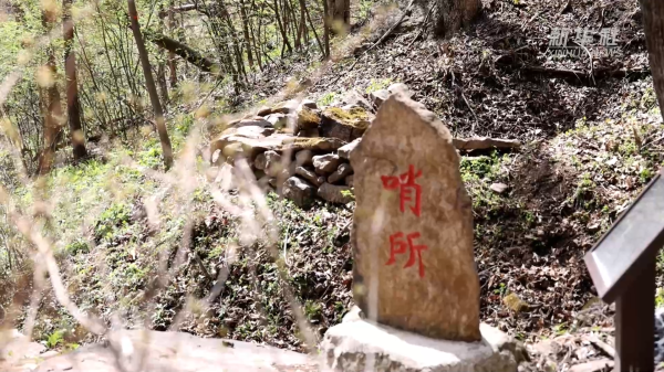 海通富配资 山河印记·寻访抗战足迹｜“响木”清脆 抗联密营里的“密电波”