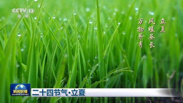 股升网 文化中国行丨二十四节气·立夏 春尽夏启 繁华更盛