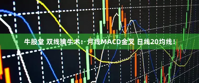 牛股堂 双线擒牛术:月线MACD金叉 日线20均线!